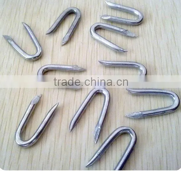 Hot Sales Factory Supply U Fence Staple / U Shape Staple / Fence Staple U Nails