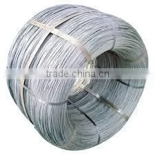 The China Professional Factory Hot Dipped Galvanized Steel Wire for Electric Cables photo-3