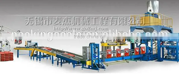 Coal Packing Line Palletizing Machine photo-6