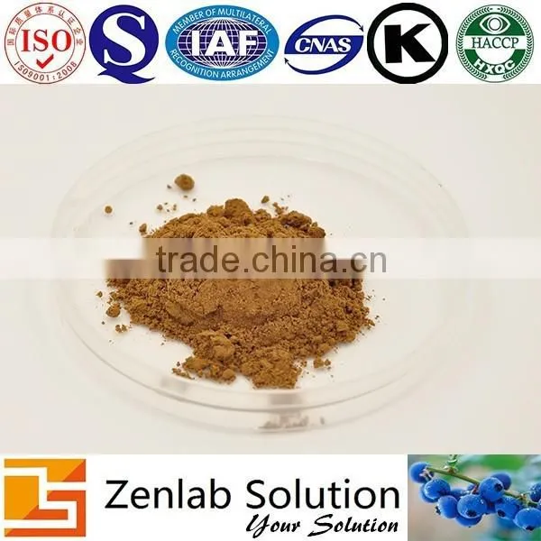 Apple Extract With Apple Phloretin Powder for Skin Whitening photo-2