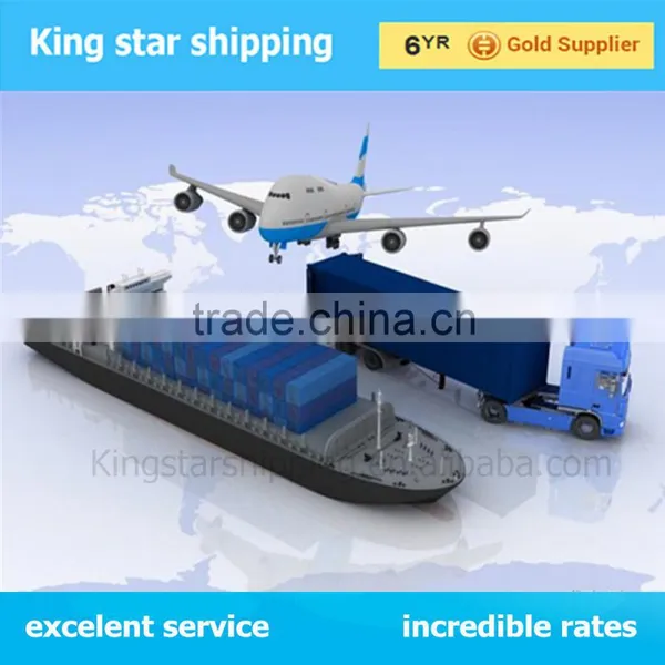 Sea Freight Shipping Agent to Livorno From China Qingdao Shenzhen Guangzhou/shanghai/ningbo for Lcl/fcl Etc photo-5