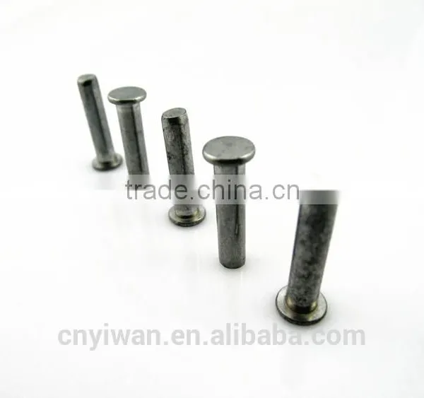 DIN Standard Hardware Fastenings a4 Stainless Steel Rivets photo-5