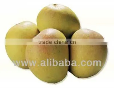 CANNED ALPHONSO MANGO PULP