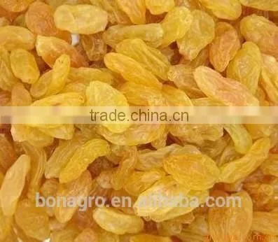 Raisin, Golden Raisin, Sultana Raisin on Sale