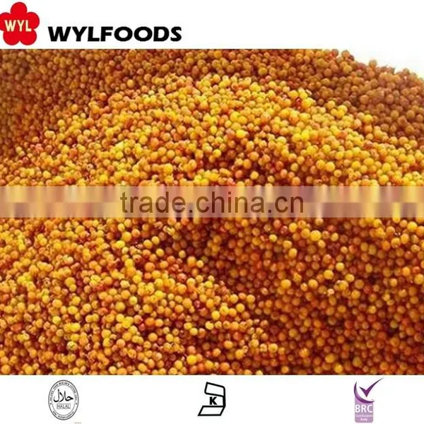 IQF China Price for Frozen Sea Buckthorn High Quality photo-6