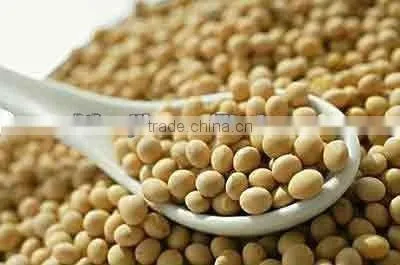 Supply Corn Peptide From China for Comestic Best Price