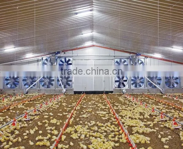 Steel Structure Chicken Shed /environmental Control Steel House photo-2