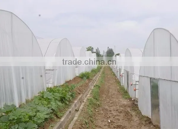 Cheap Tunnel Greenhouse photo-5