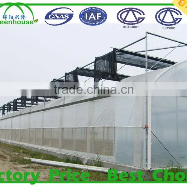 Vegetable Seeds Greenhouse photo-3