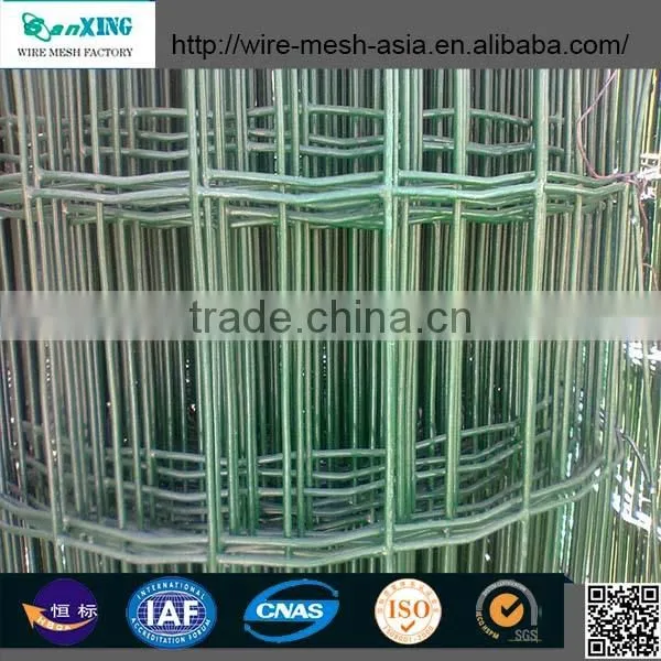 Anping Sanxing Factory Direct Product Square Wire Mesh /galvanized Wire Nettings photo-2