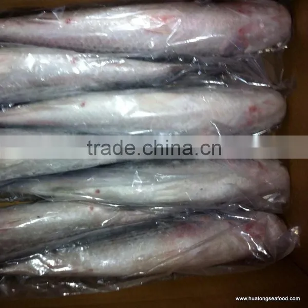 BQF Grey Mullet Whole Round ,1000+g Mugil Cephalus photo-2