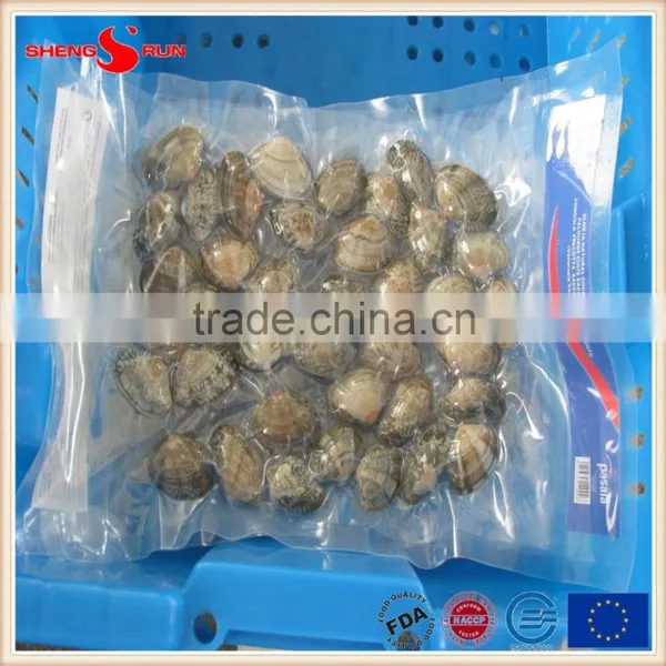Frozen Boiled V-packed Baby Clam photo-4