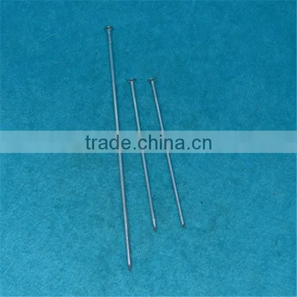 High Standard Galvanized Concrete Nail photo-6
