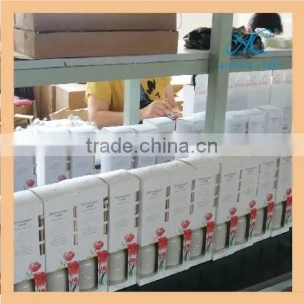 EA3-0856 Chrismas Gift Set Sola Flower Natural Scent Diffuser Fragrance Diffuser photo-6