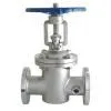 Jacket Gate Valve