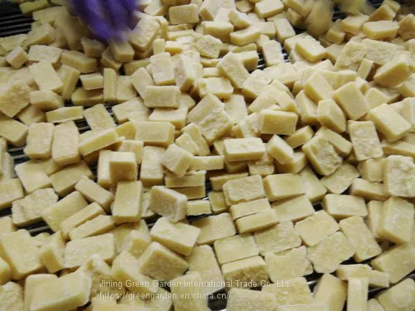 Frozen Ginger Puree 20g 1kg