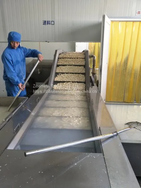 Industrial machine fruits processing washing cleaning machine