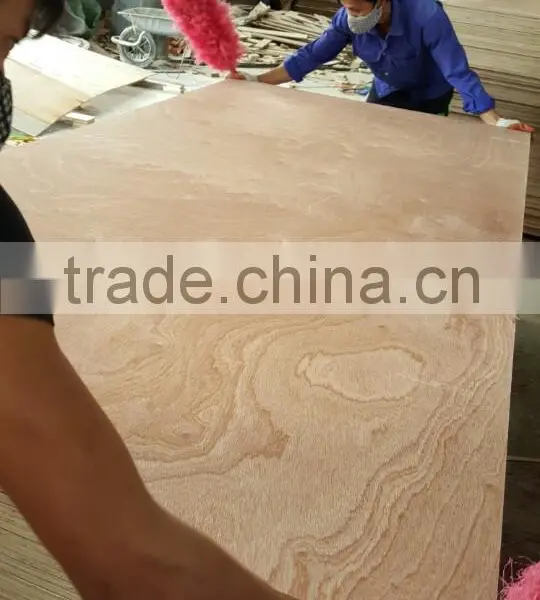 Plywood Board With Moisture 8%-14% photo-3