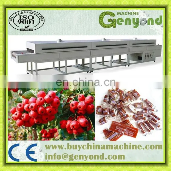 High Quality Fruit Leather Processing Machine photo-2