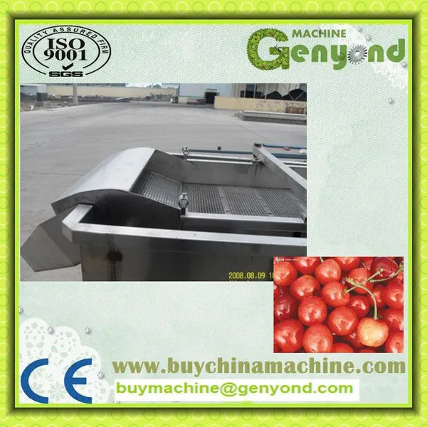 China 500kg Cherry Stem Remove Machine photo-4