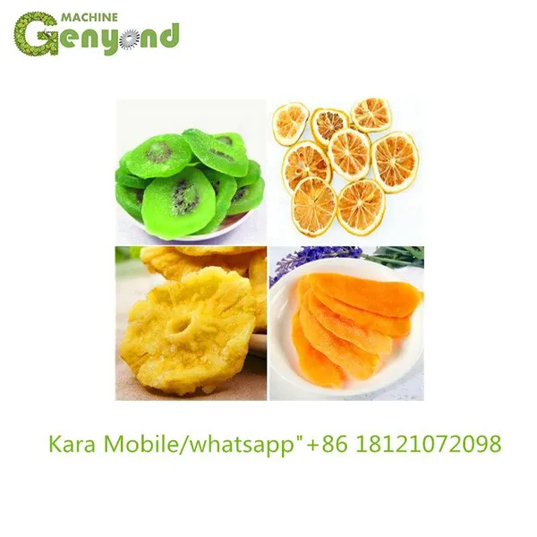 Raisin Processing Equipment/fruit Processing Equipment photo-2