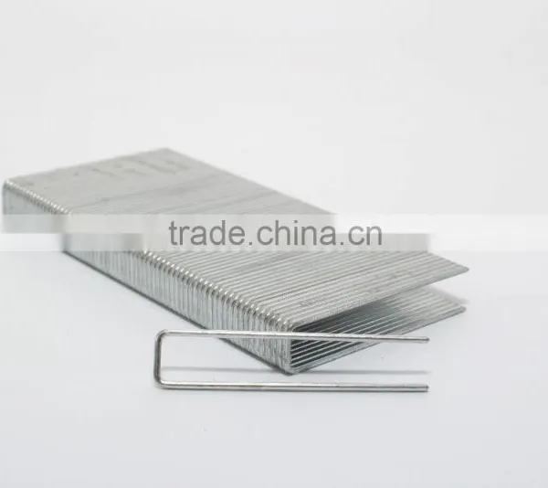 16GA P16 Industrial Heavy Wire Staple for Furniture Applies to the Middle East photo-4
