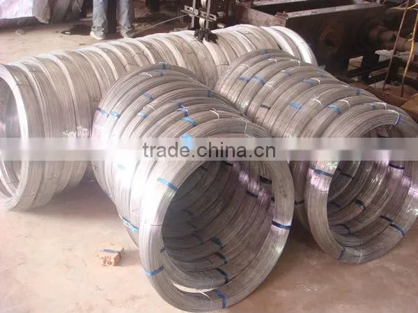 Good Quality Hot Dipped Galvanized Oval Steel Wire for Cattle Farm photo-3