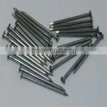 China Professional Common Nail Factory