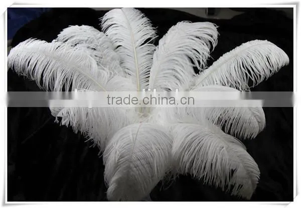 Boardwalk Professional Ostrich Feather Duster photo-6