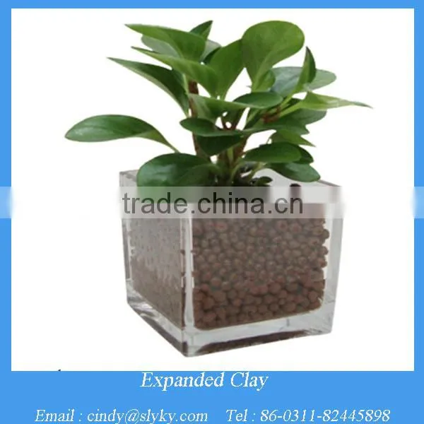 Agriculture Plants Soil Lightweight Expanded Clay Aggregate photo-5