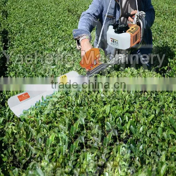 Mini Tea Leaf Trimmer for Sale photo-3