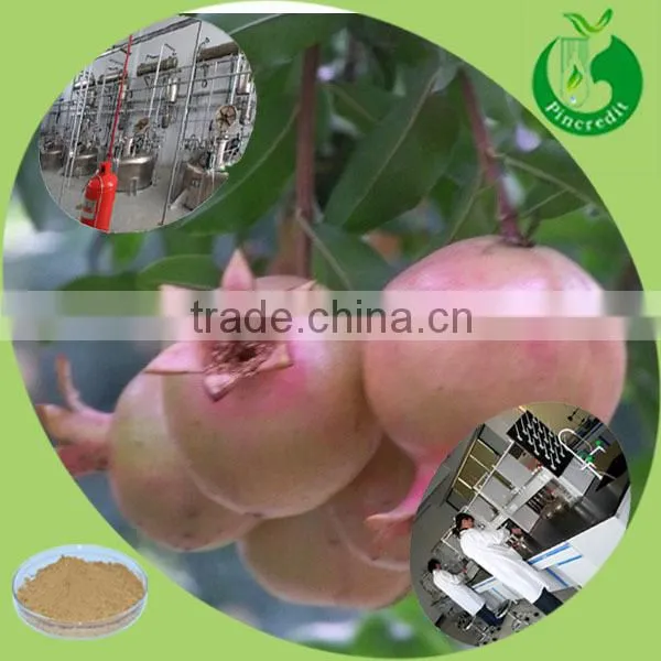 Delicious Fruit Juice Powder Natural Dried/Frozen Pomegranate Powder