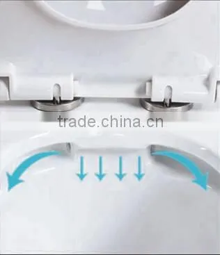 Hedge Type of Flushing Watermark Toilet Suite photo-2