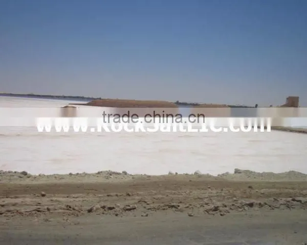Bulk Sodium Chloride l Egypt Rock Salt 98% l SGS photo-5