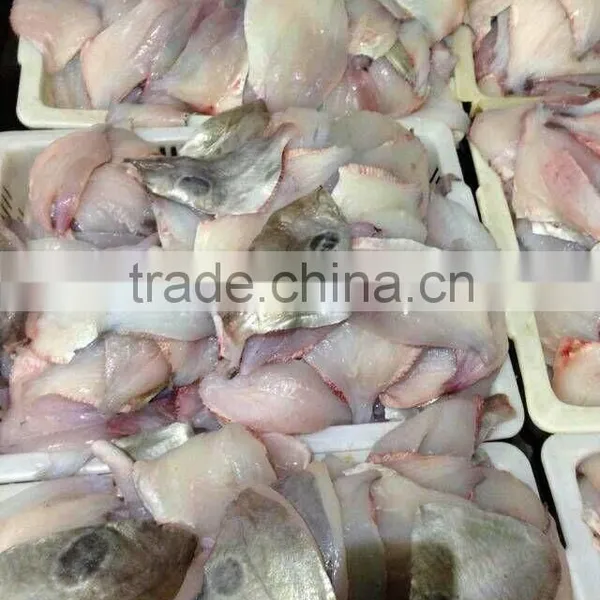2015 New Coming Fresh Frozen John Dory Fillet photo-4