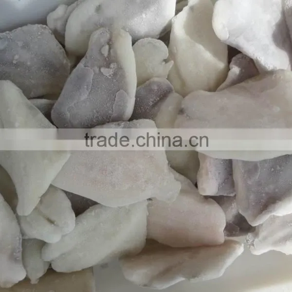 2016 New Coming Frozen John Dory Fillet for Market photo-2