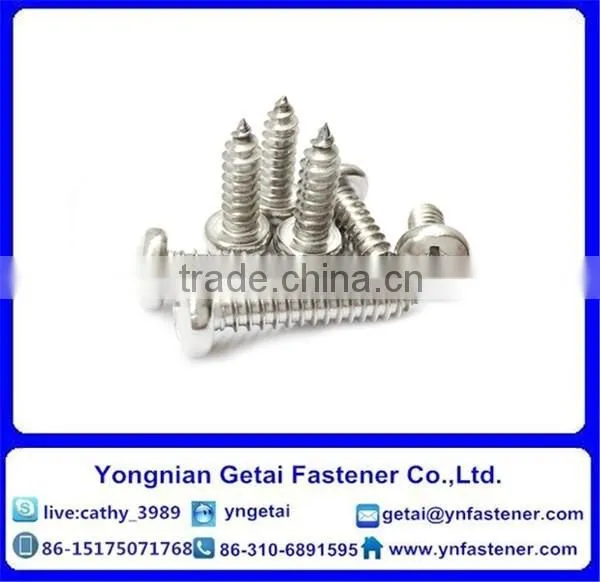 Stainless Steel Self-Tapping Screws With Cross Recessed Pan/ Countersunk Head/raised Countersunk Head ,DIN933/931 H.D.G photo-2