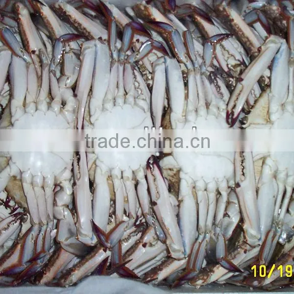 Frozen Crab photo-2