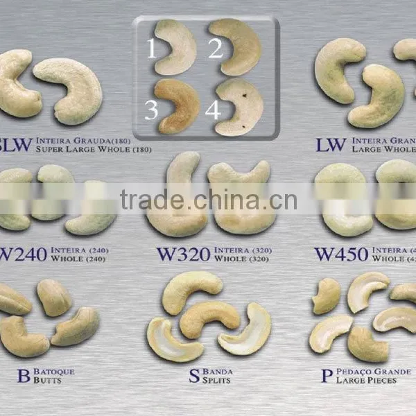 CASHEW KERNEL WW320 photo-5