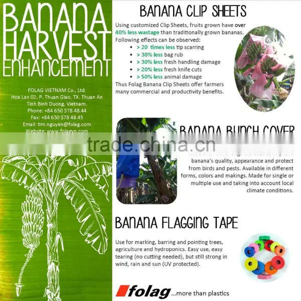 Banana Clip-Sheet photo-3