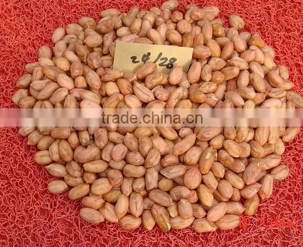 Peanut, Peanut Kernel, Blanched Peanut Kernel