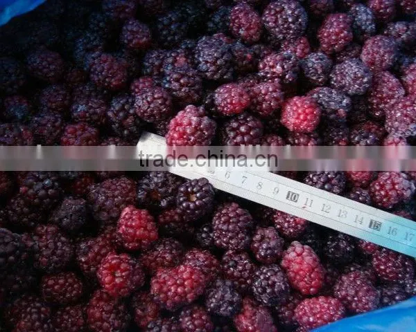 Bulk Frozen A Grade Blackberry Fruit photo-3