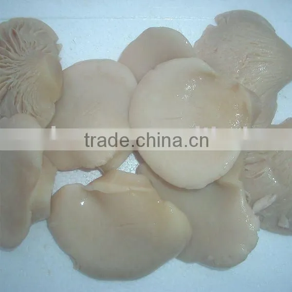 Bailing Mushroom