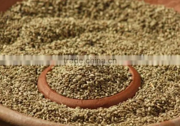 AJOWAN SEED 20% OIL photo-6