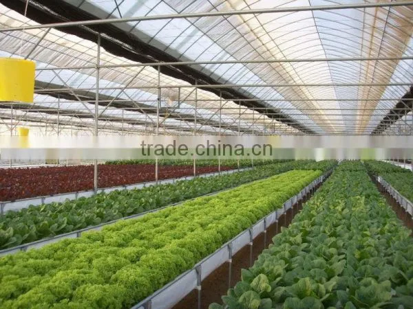 Commercial Greenhouses photo-3