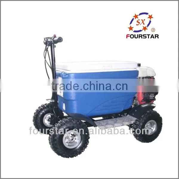 Electric Scooter Kit Gas Cooler Scooter Sx-g110