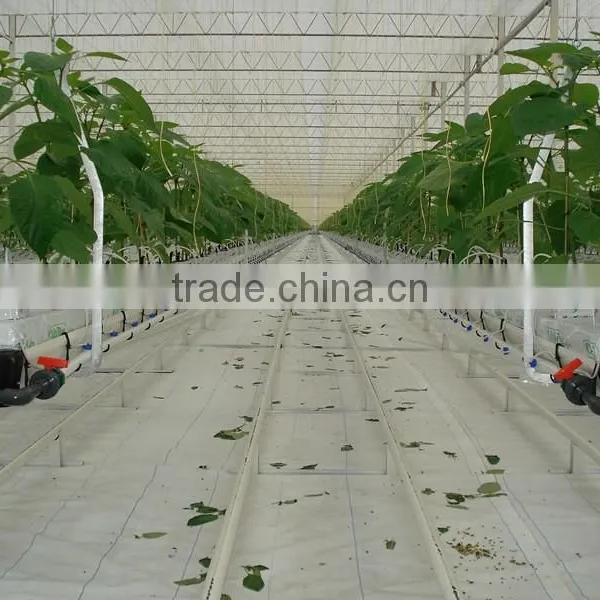 Greenhouse photo-3