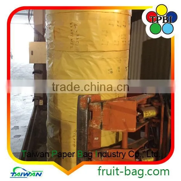 Taiwan Supplier Fruit Tree Coveering Protection Paper Bag photo-5