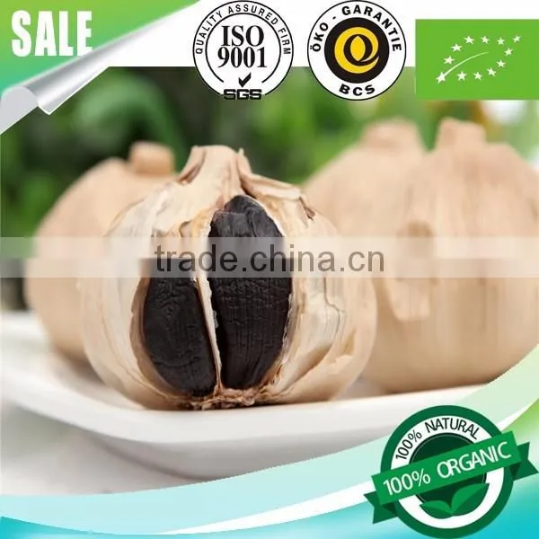 Supply l Black Garlic 100% Natural photo-2
