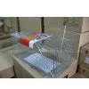 Single Door Spring Loaded Mousetrap